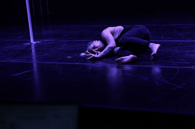 POLE ART FRANCE 2018 - Shows & Competitions - LATE NIGHT TALES Photography Christina Bulka Fotograf / Fotografie