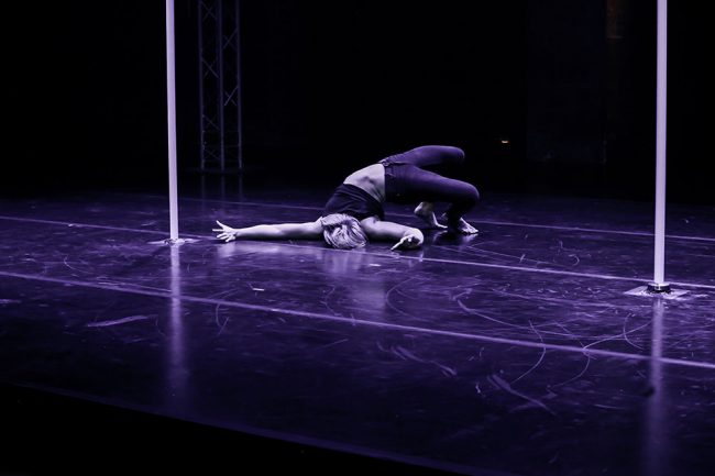 POLE ART FRANCE 2018 - Shows & Competitions - LATE NIGHT TALES Photography Christina Bulka Fotograf / Fotografie